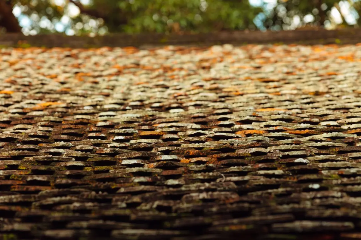 Aging shingle roof with moss growth and granule loss in Ormond Beach, FL